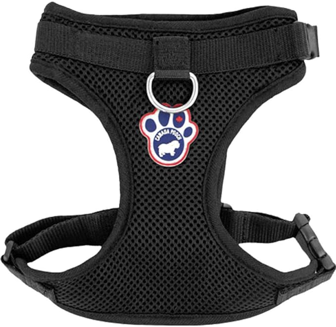 When you're looking for a dog harness, the Canada Pooch Harness in sleek black offers a combination of style and functionality that sets it apart.