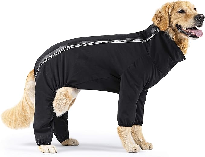 Designed to keep your pooch dry and clean