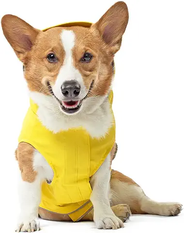 The ultimate dog raincoat
