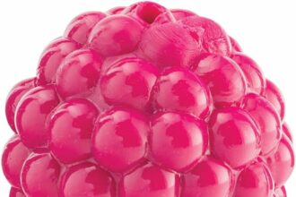 The Orbee Tuff Produce Raspberry Dog Toy might just be what you're after.