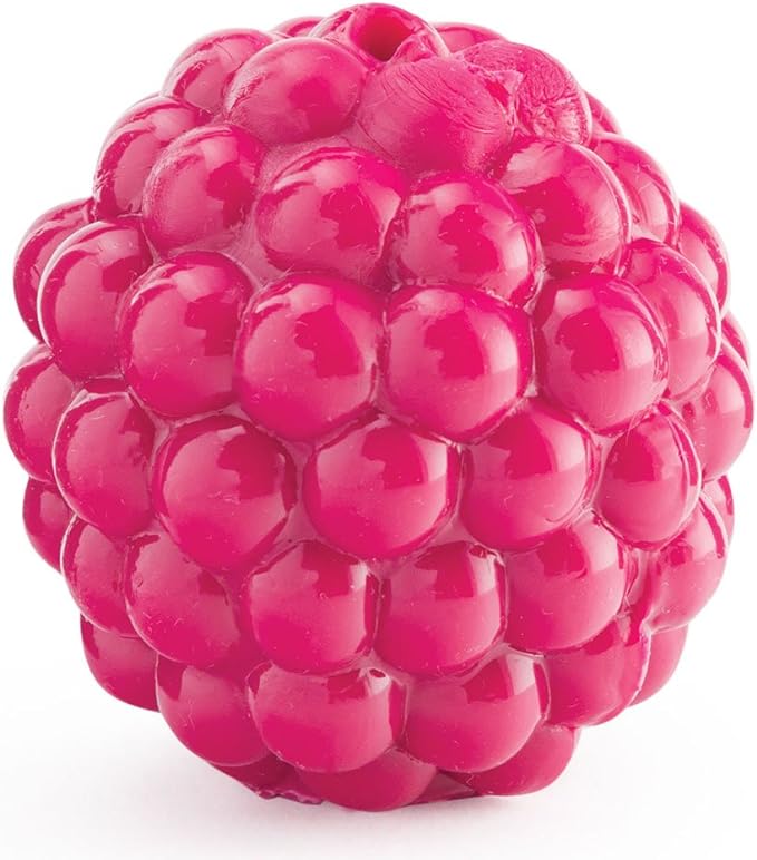 The Orbee Tuff Produce Raspberry Dog Toy might just be what you're after.