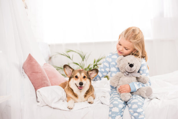 cute child sitting on bed with pembroke welsh corgi dog and teddy bear at home