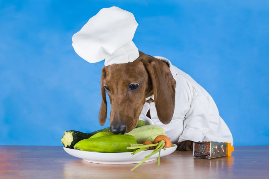 discover which vegetables are safe and beneficial for your canine companion