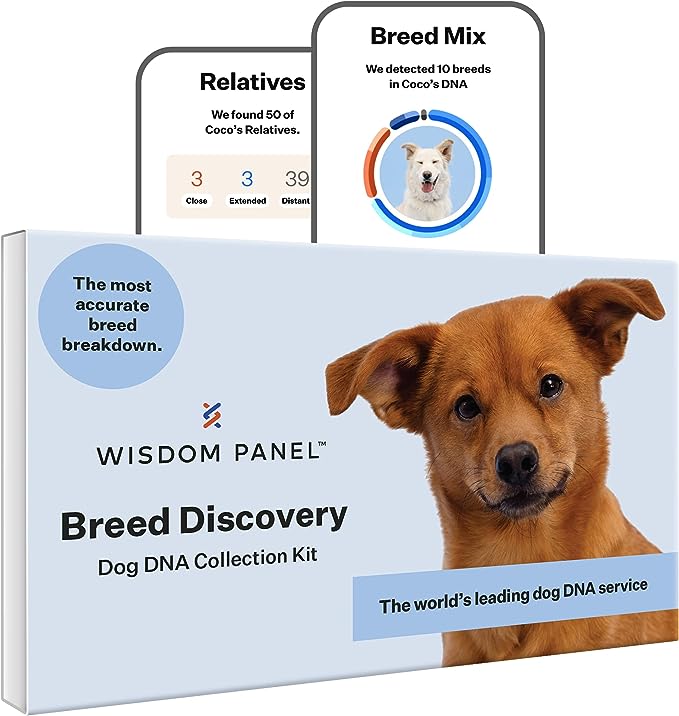 The Wisdom Panel 3.0 Canine DNA Test Kit offers you a fascinating dive into your dog's genetic makeup.