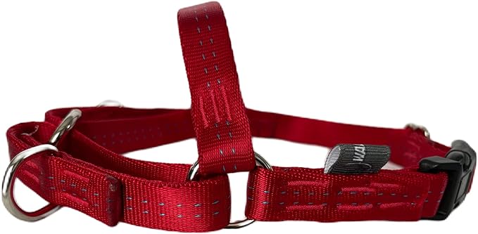 When you're looking for a harness that offers more than the standard design, the jWalker harness stands out with features that cater to both your comfort and your dog's needs.