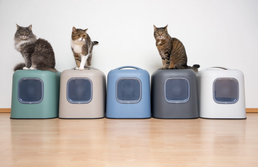 The design of a hooded litter box significantly reduces the spread of odours.