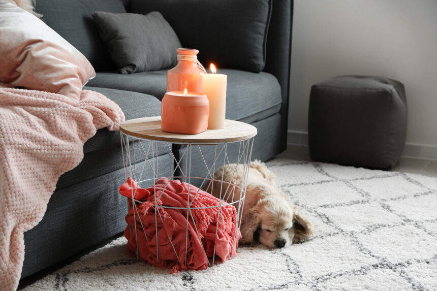 Pet house candles are crafted with a blend of natural enzymes and non-toxic ingredients that work effectively to neutralise odours, instead of merely masking them.